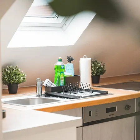 Apartmenthaus Zentrum Kitchen,wifi,smart Tv *** Nuertingen