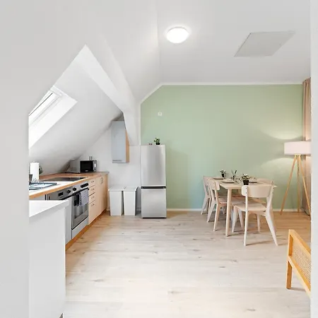 Apartment Apartmenthaus Zentrum Kitchen,wifi,smart Tv *** *