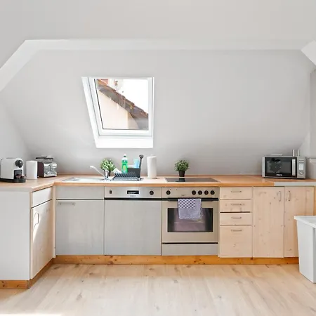 Apartmenthaus Zentrum Kitchen,wifi,smart Tv *** * Nuertingen