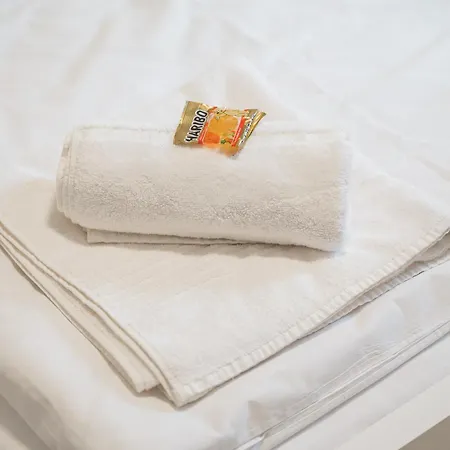 Appartement Moderne Monteurwohnungen In Zentrum Kitchen, Wifi, Smart Tv